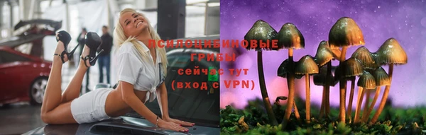 прущие грибы Покровск