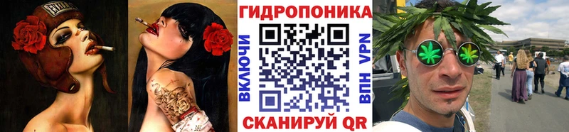 Канабис гибрид  Чкаловск 